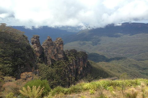 All-Inclusive Blue Mountains Tour In A Luxury Mercedes Sprinter - Accommodation Melbourne 11