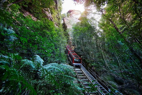 All-Inclusive Blue Mountains Tour In A Luxury Mercedes Sprinter - Accommodation Melbourne 3