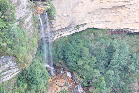 All-Inclusive Blue Mountains Tour In A Luxury Mercedes Sprinter - Accommodation Melbourne 17