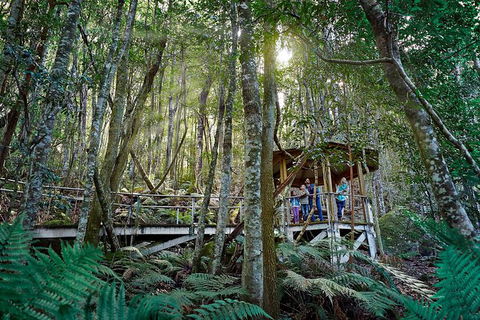 All-Inclusive Blue Mountains Tour In A Luxury Mercedes Sprinter - Accommodation Melbourne 19