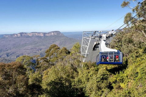 All-Inclusive Blue Mountains Tour In A Luxury Mercedes Sprinter - Accommodation Melbourne 6