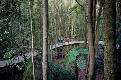 All-Inclusive Blue Mountains Tour In A Luxury Mercedes Sprinter - Accommodation Melbourne 13