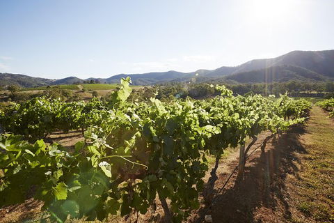 Scenic Hunter Valley Winery Tour With Boutique Wineries & Local Cheese - Accommodation Melbourne 6