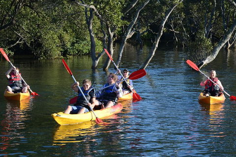 Kayak And SUP Guided Tours - Accommodation Melbourne 0
