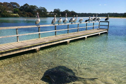 The Eurobodalla Experience (Full Day Private Tour Including Lunch) - Accommodation Melbourne 0