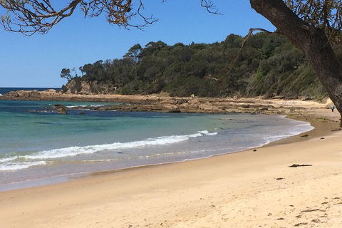 The Eurobodalla Experience (Full Day Private Tour Including Lunch) - Accommodation Melbourne 13