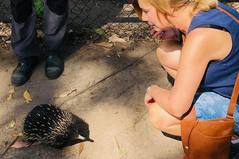 The Eurobodalla Experience (Full Day Private Tour Including Lunch) - Accommodation Melbourne 18