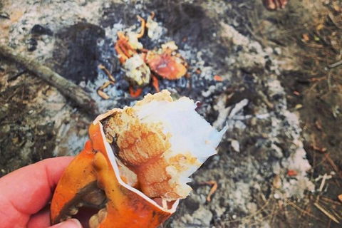 Pot To Plate Adventure - Accommodation Melbourne 4