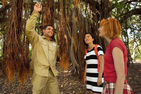 Aboriginal Heritage Tour At The Royal Botanic Garden Sydney - Accommodation Melbourne 6