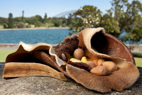Aboriginal Heritage Tour At The Royal Botanic Garden Sydney - Accommodation Melbourne 7