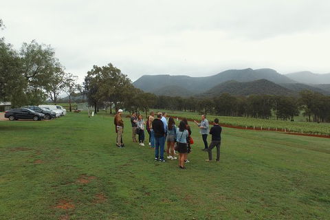 Hunter Valley Private Tour Including Wine, Chocolate, Cheese, Vodka, Gin Tasting - Accommodation Melbourne 10