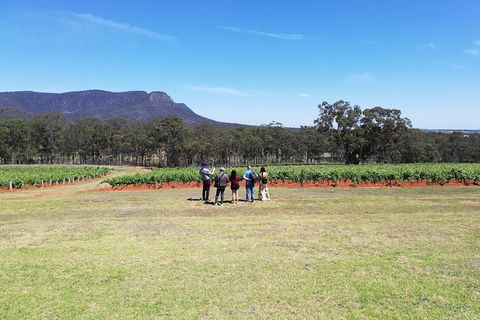 Hunter Valley Private Tour Including Wine, Chocolate, Cheese, Vodka, Gin Tasting - Accommodation Melbourne 4