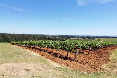 Hunter Valley Private Tour Including Wine, Chocolate, Cheese, Vodka, Gin Tasting - Accommodation Melbourne 16