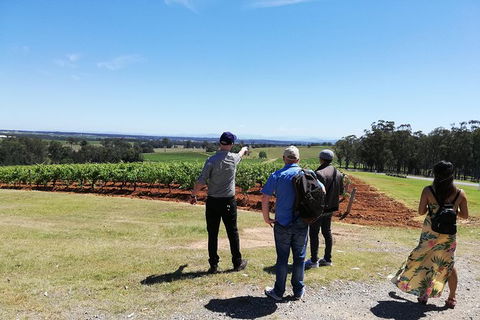 Hunter Valley Private Tour Including Wine, Chocolate, Cheese, Vodka, Gin Tasting - Accommodation Melbourne 13