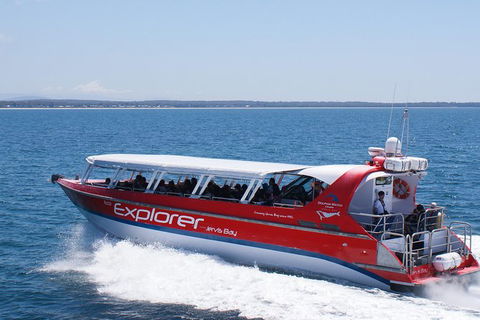 Whale Watching Jervis Bay - Accommodation Melbourne 1