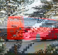 SkyBus Byron Bay Express - Accommodation Melbourne