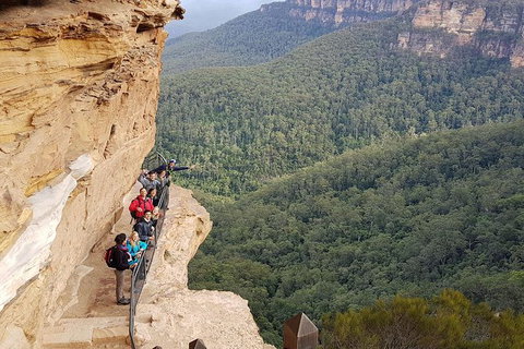 Hike Into The Wild Blue Mountains - Accommodation Melbourne 0