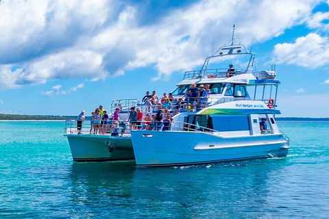 Jervis Bay Whale Watching Tour - Accommodation Melbourne 2