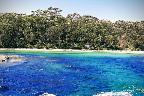 Jervis Bay Passage Tour - Accommodation Melbourne 1