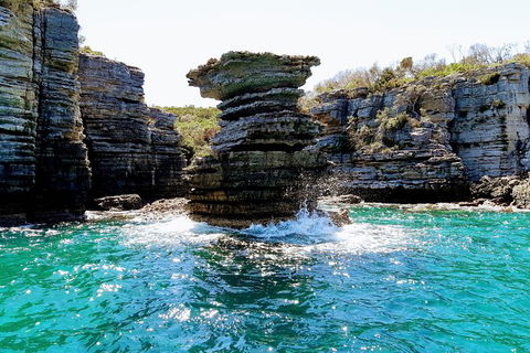 Jervis Bay Passage Tour - Accommodation Melbourne 15