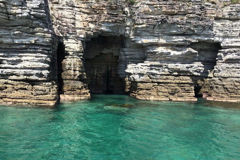 Jervis Bay Passage Tour - Accommodation Melbourne 13