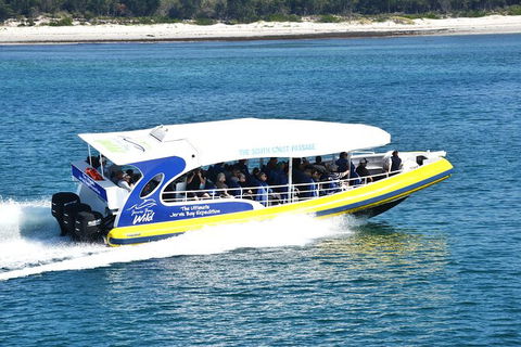Jervis Bay Passage Tour - Accommodation Melbourne 11