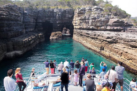 Jervis Bay Passage Tour - Accommodation Melbourne 3