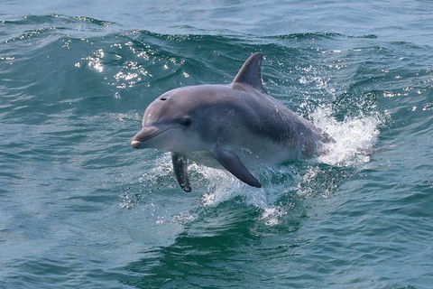 Jervis Bay Passage Tour - Accommodation Melbourne 12