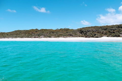 Jervis Bay Passage Tour - Accommodation Melbourne 10