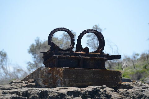 Jervis Bay Passage Tour - Accommodation Melbourne 4