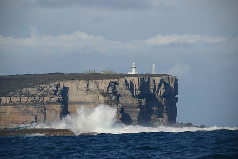 Jervis Bay Passage Tour - Accommodation Melbourne 8
