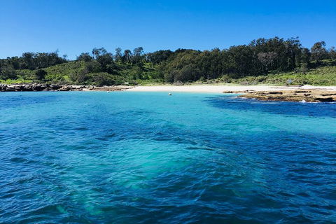 Jervis Bay Passage Tour - Accommodation Melbourne 2