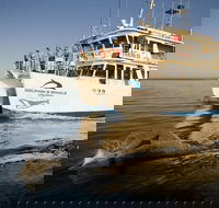 Jervis Bay Dolphin Watch Cruise - Accommodation Melbourne