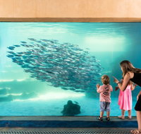 AQWA the Aquarium of Western Australia - Accommodation Melbourne