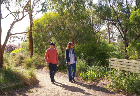 Arthurs Seat Circuit Walk - Accommodation Melbourne 0