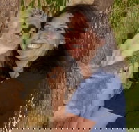 Billabong Sanctuary - Accommodation Melbourne