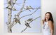 Bingara Gallery - thumb 0