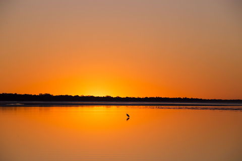 Birdwatching On The Fraser Coast - Accommodation Melbourne 1