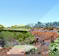 Bladensburg National Park - Accommodation Melbourne