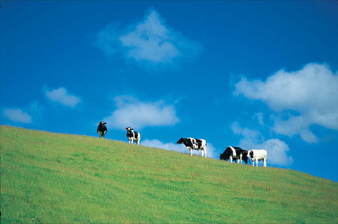 Bridgetown - Accommodation Melbourne 0