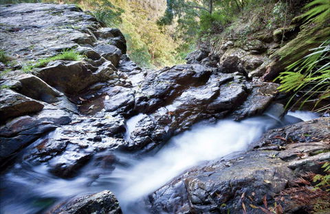 Casuarina Falls Circuit - Accommodation Melbourne 0