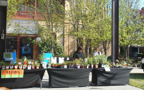 Clare Show Market - Accommodation Melbourne 0
