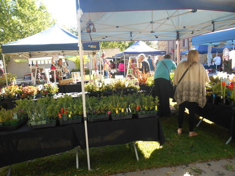 Clare Show Market - Accommodation Melbourne 1
