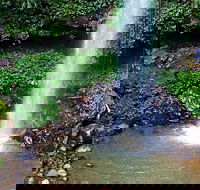 Crystal Shower Falls Walk - Accommodation Melbourne