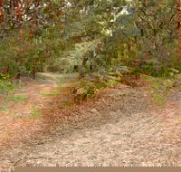 Daleys Point Walking Track - Accommodation Melbourne