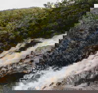 Davies Creek National Park and Dinden National Park - Accommodation Melbourne