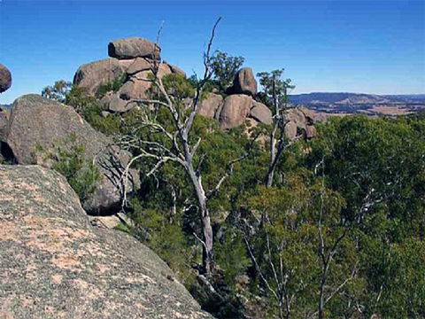 Evans Crown Nature Reserve - Accommodation Melbourne 0