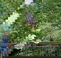 Grandis Picnic Area - Accommodation Melbourne