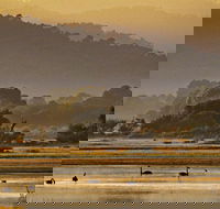 Greens Beach - Accommodation Melbourne