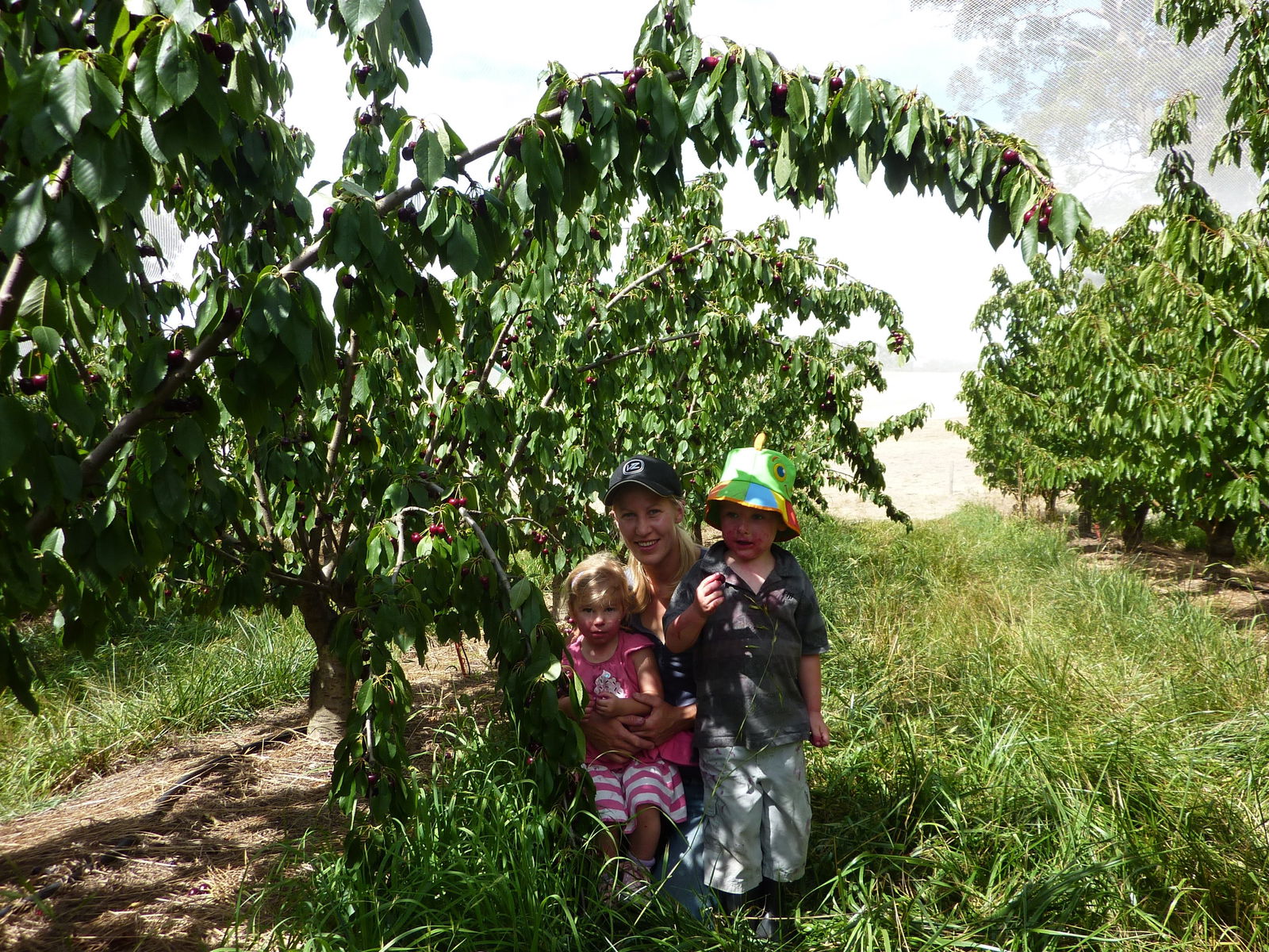 Adelaide Hills SA Accommodation Melbourne